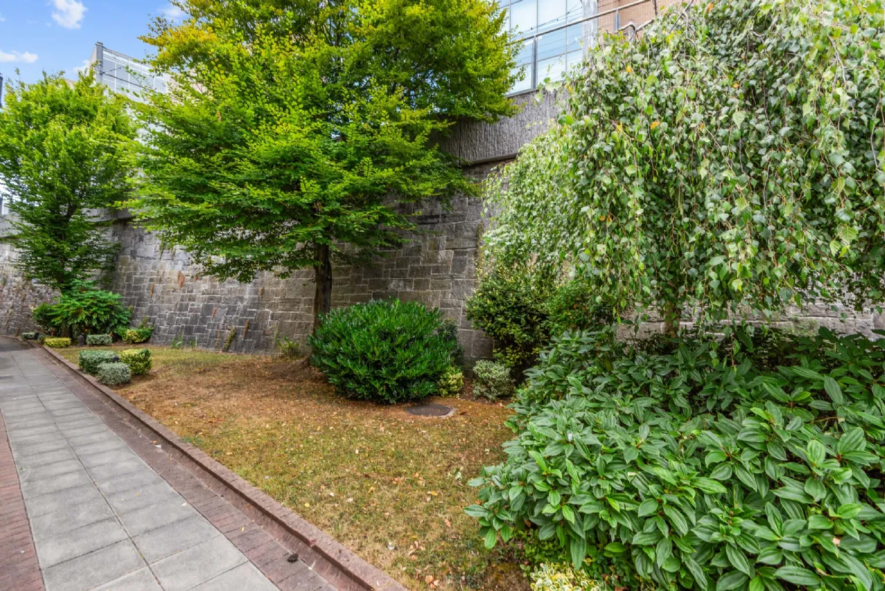 Photo of 7 Dartmouth Place, Ranelagh, Dublin 6, D06 RX81