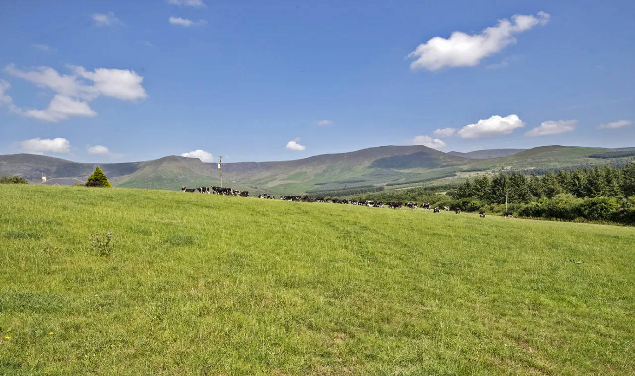 Photo of Cutteen, Killrossanty, Kilmacthomas, Co Waterford, X42 E448