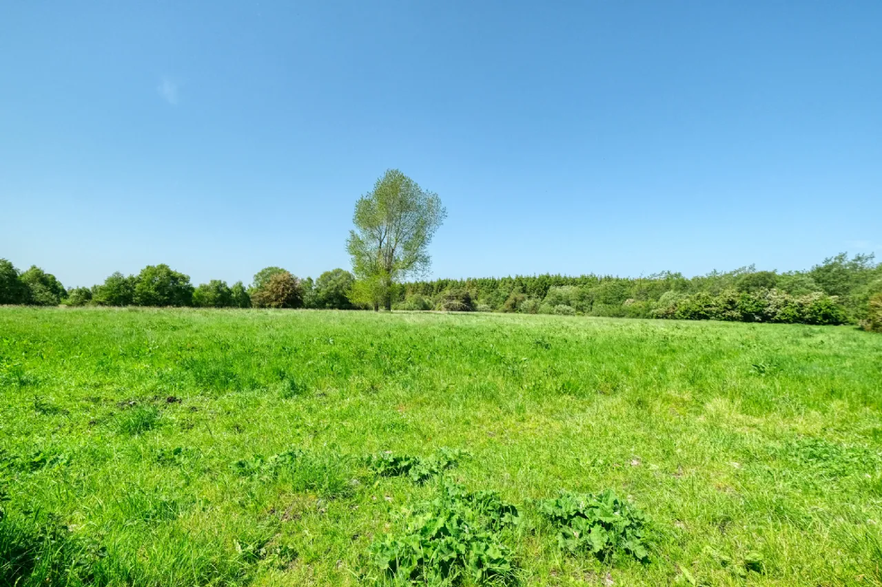 Photo of Derryadd, Keenagh, Co. Longford