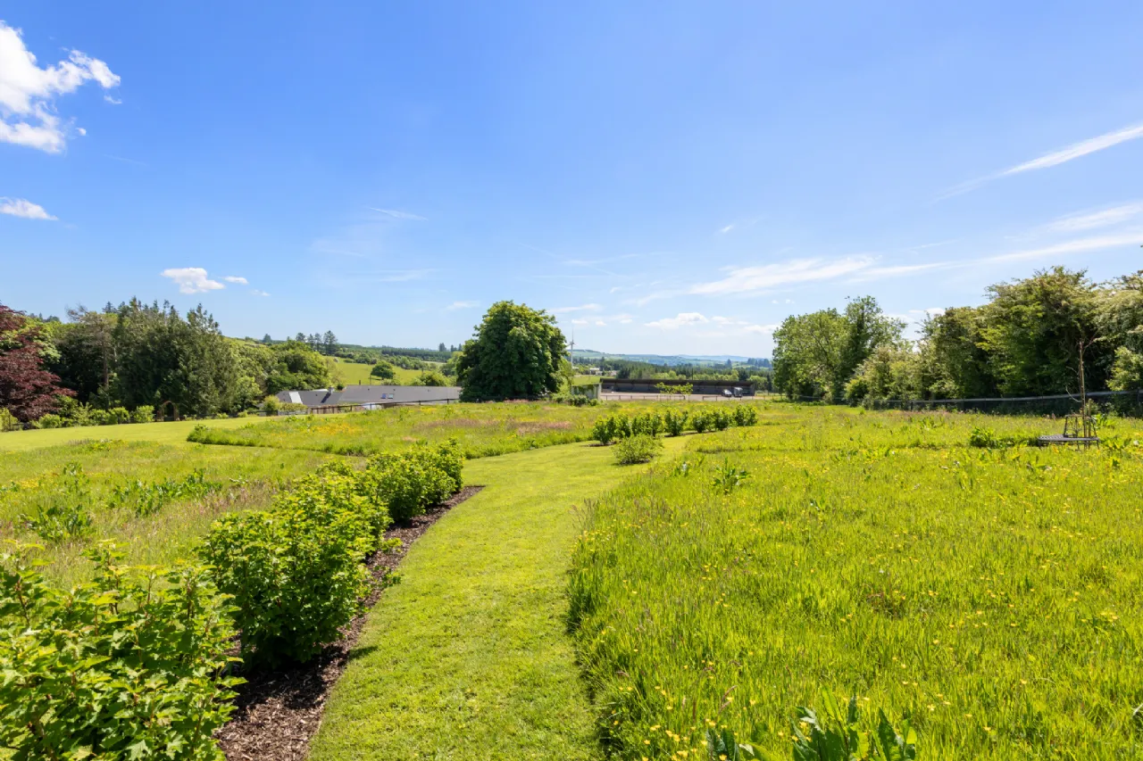 Photo of Caherbrack On 10.6 Acres, Ballinamult, Dungarvan, Co Waterford, E91 PX74