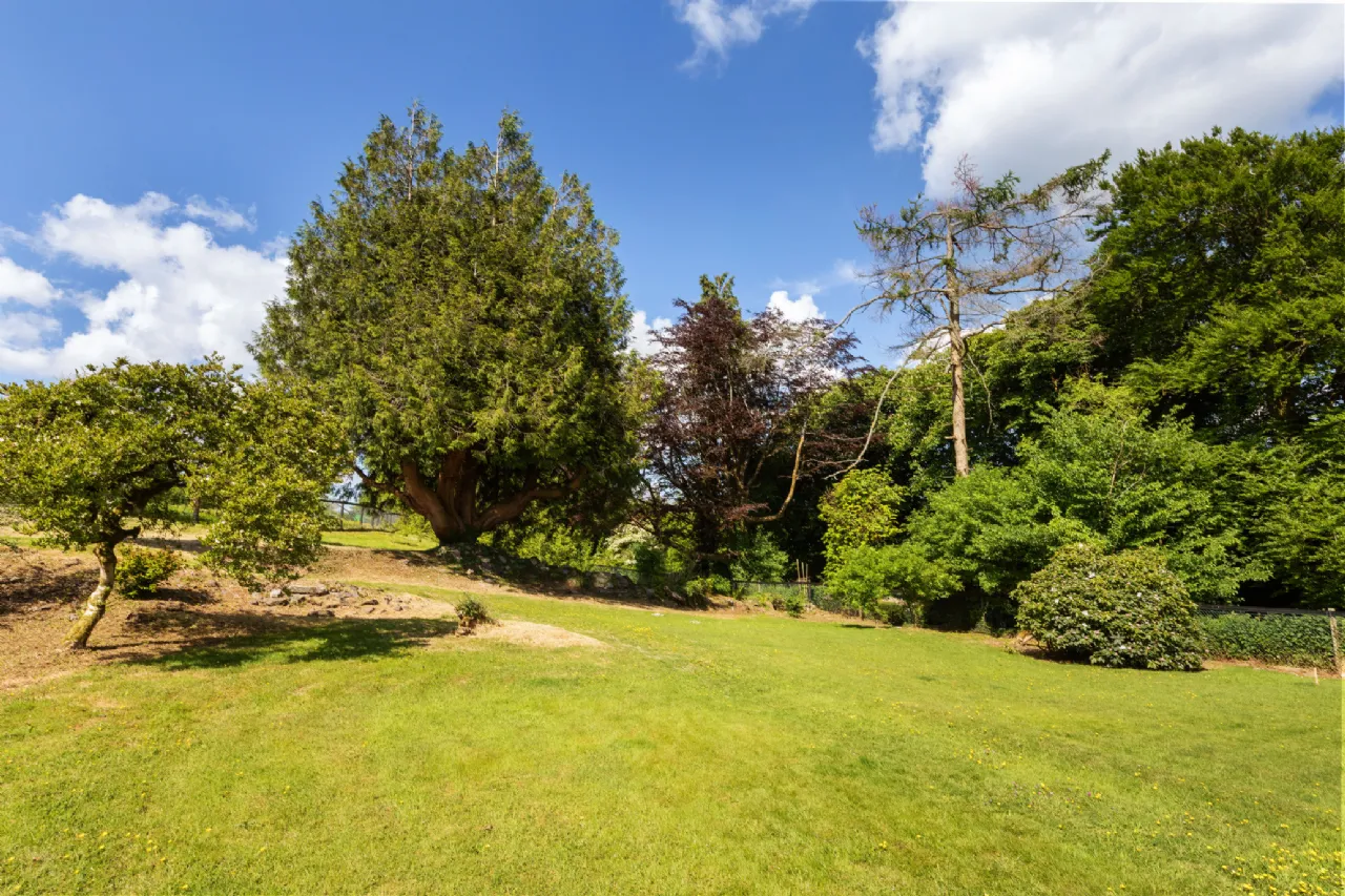 Photo of Caherbrack On 10.6 Acres, Ballinamult, Dungarvan, Co Waterford, E91 PX74