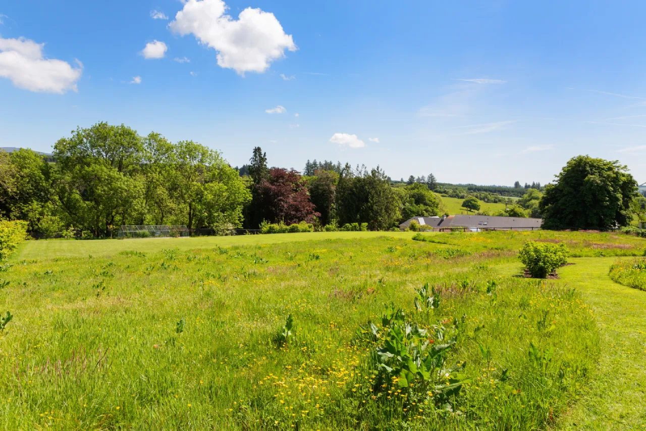 Photo of Caherbrack On 10.6 Acres, Ballinamult, Dungarvan, Co Waterford, E91 PX74