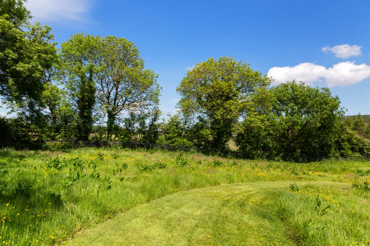 Photo of Caherbrack On 10.6 Acres, Ballinamult, Dungarvan, Co Waterford, E91 PX74