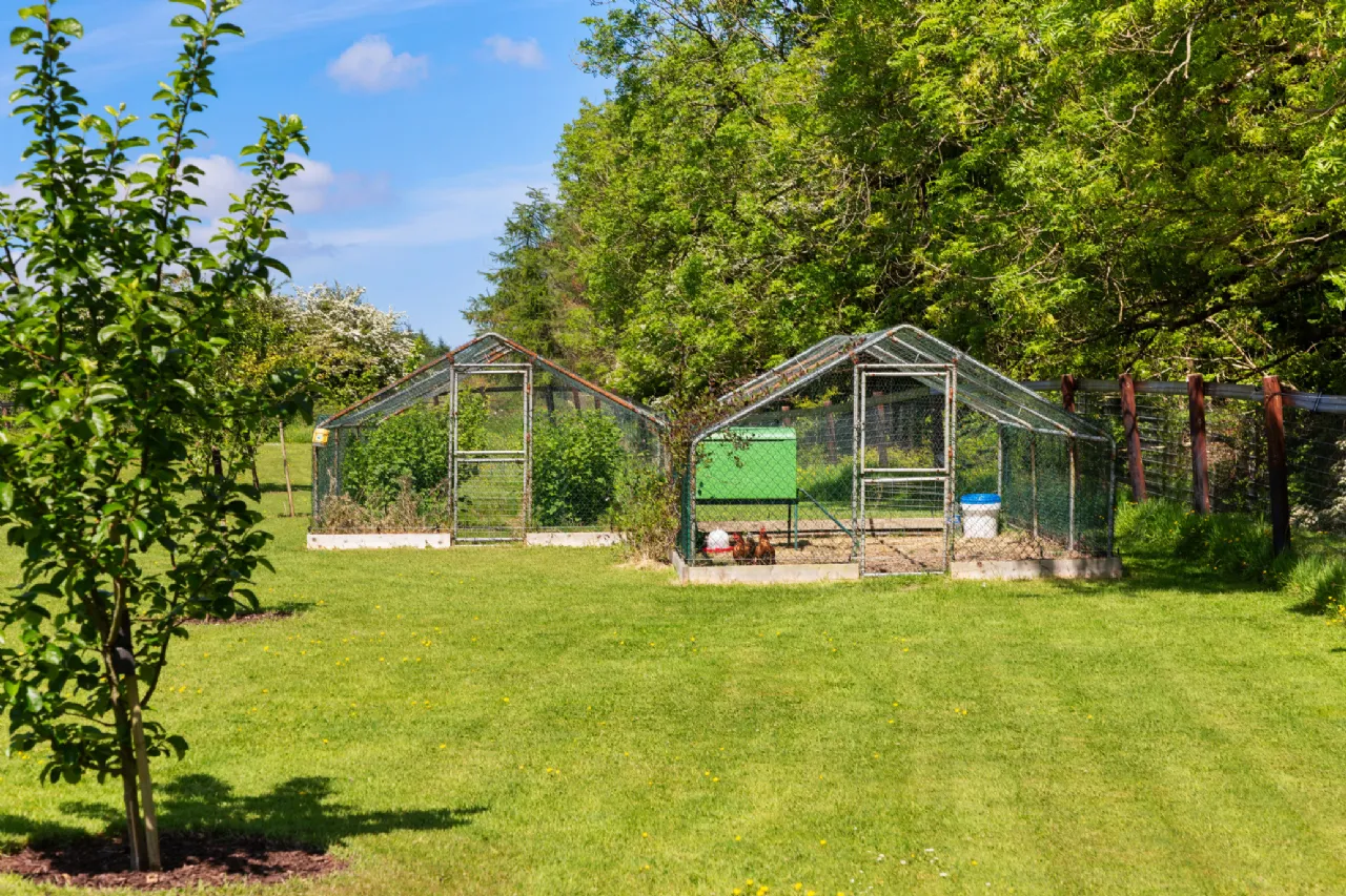 Photo of Caherbrack On 10.6 Acres, Ballinamult, Dungarvan, Co Waterford, E91 PX74