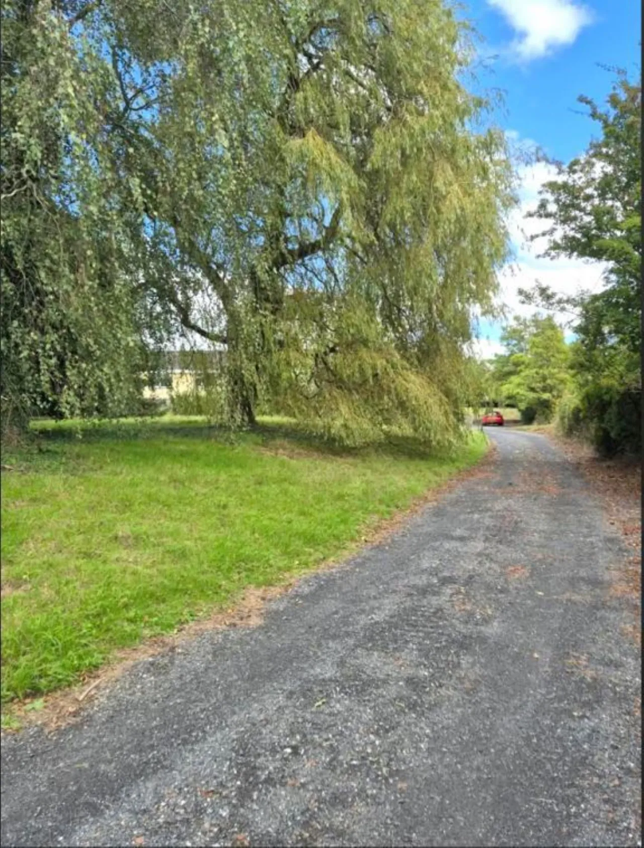 Photo of Wells,, Bagenalstown,, Co. Carlow, R21K256