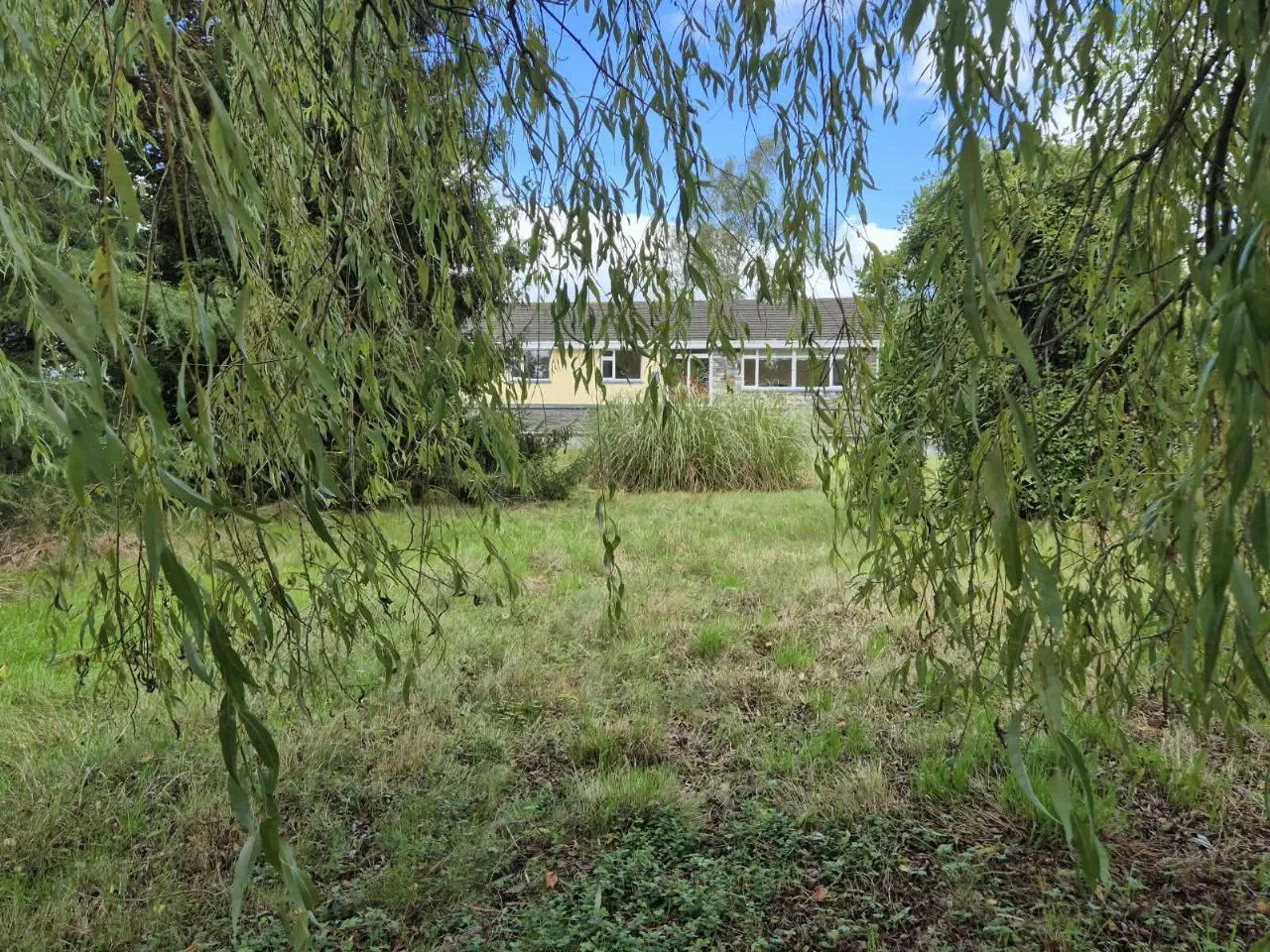 Photo of Wells,, Bagenalstown,, Co. Carlow, R21K256