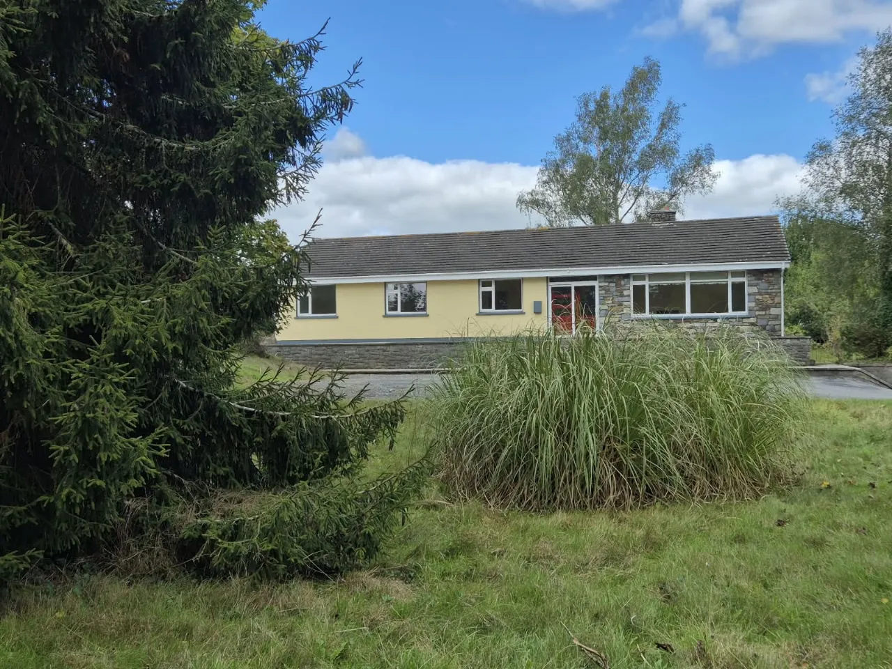 Photo of Wells,, Bagenalstown,, Co. Carlow, R21K256