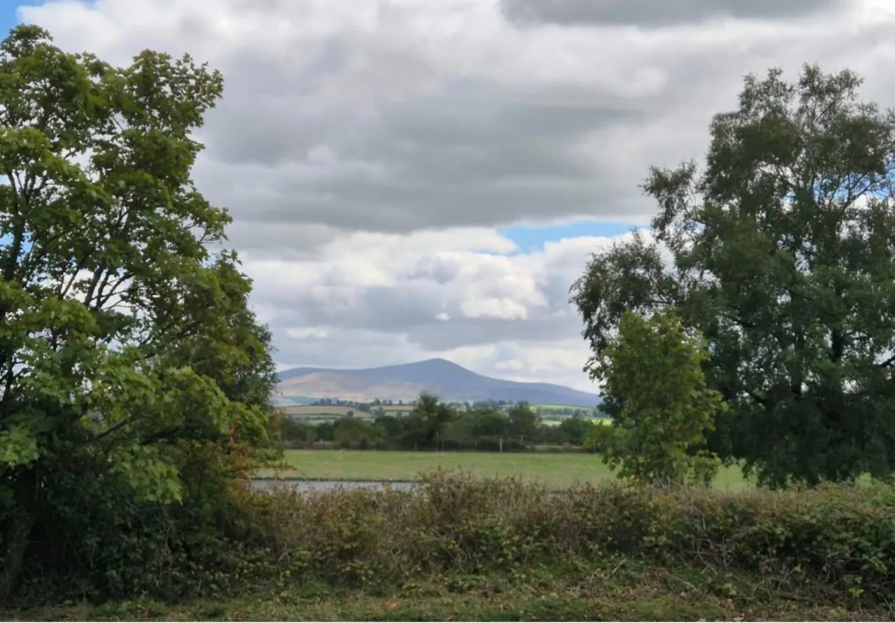 Photo of Wells,, Bagenalstown,, Co. Carlow, R21K256