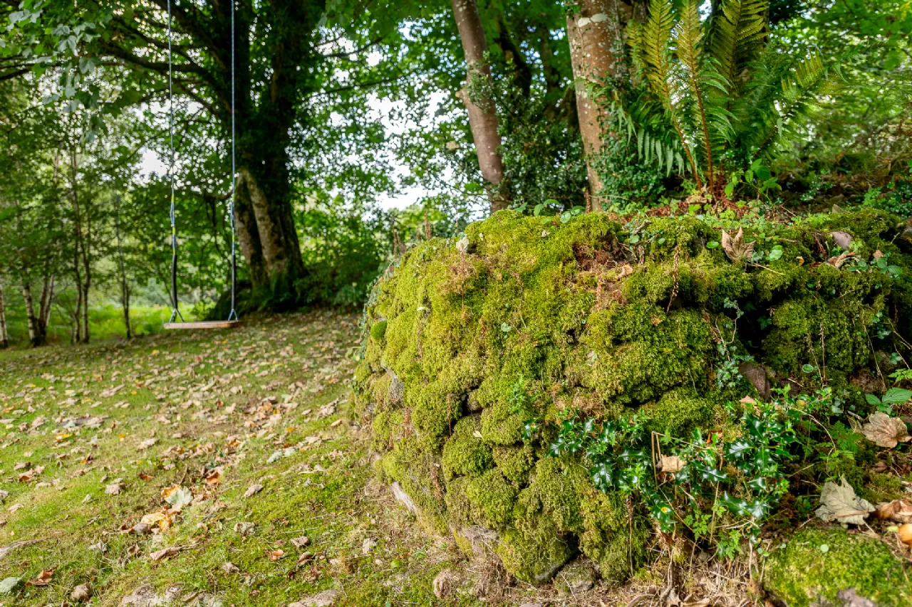Photo of The Garden House, Currabeg, Kenmare, Co Kerry, V93 D9X4