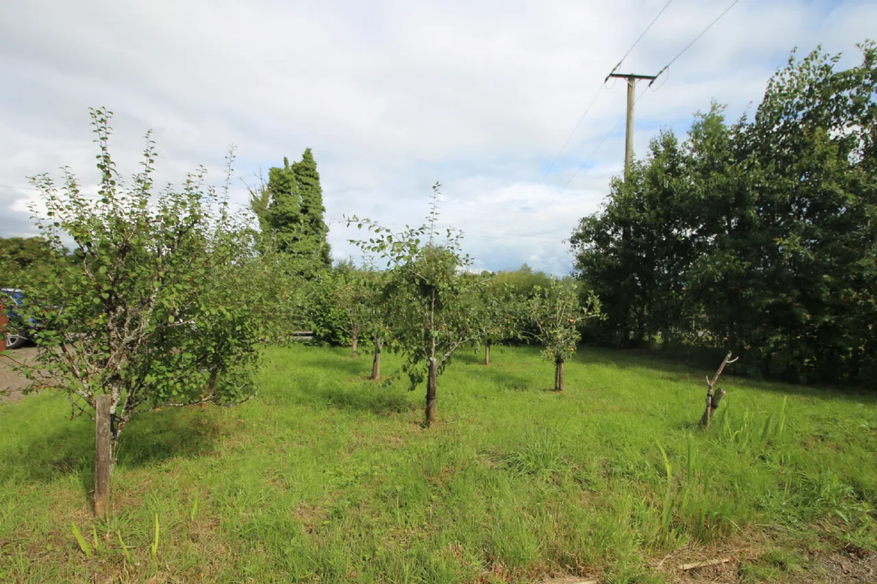 Photo of Blackhall Cottage, Gortnalougher, Cloone, Co. Leitrim, N41 N7N2