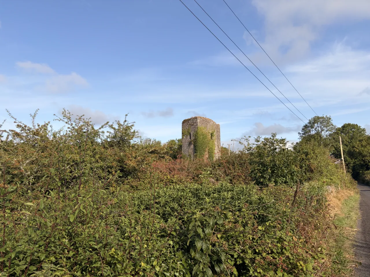 Photo of Ballygriffey Castle Ruins On 0.7ha, Folio CE3481F, Ballygriffey South, Ruan, Co Clare