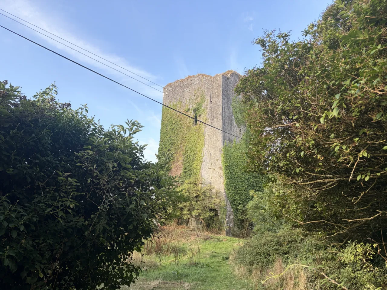 Photo of Ballygriffey Castle Ruins On 0.7ha, Folio CE3481F, Ballygriffey South, Ruan, Co Clare