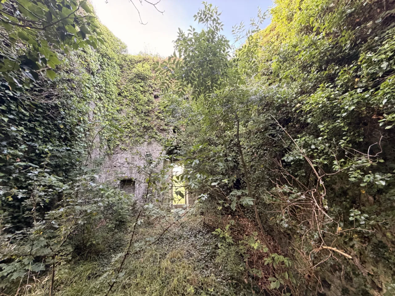 Photo of Ballygriffey Castle Ruins On 0.7ha, Folio CE3481F, Ballygriffey South, Ruan, Co Clare