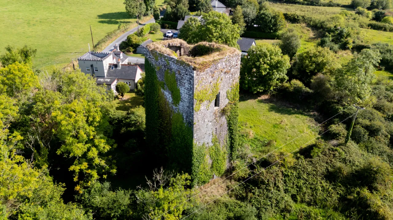 Photo of Ballygriffey Castle Ruins On 0.7ha, Folio CE3481F, Ballygriffey South, Ruan, Co Clare
