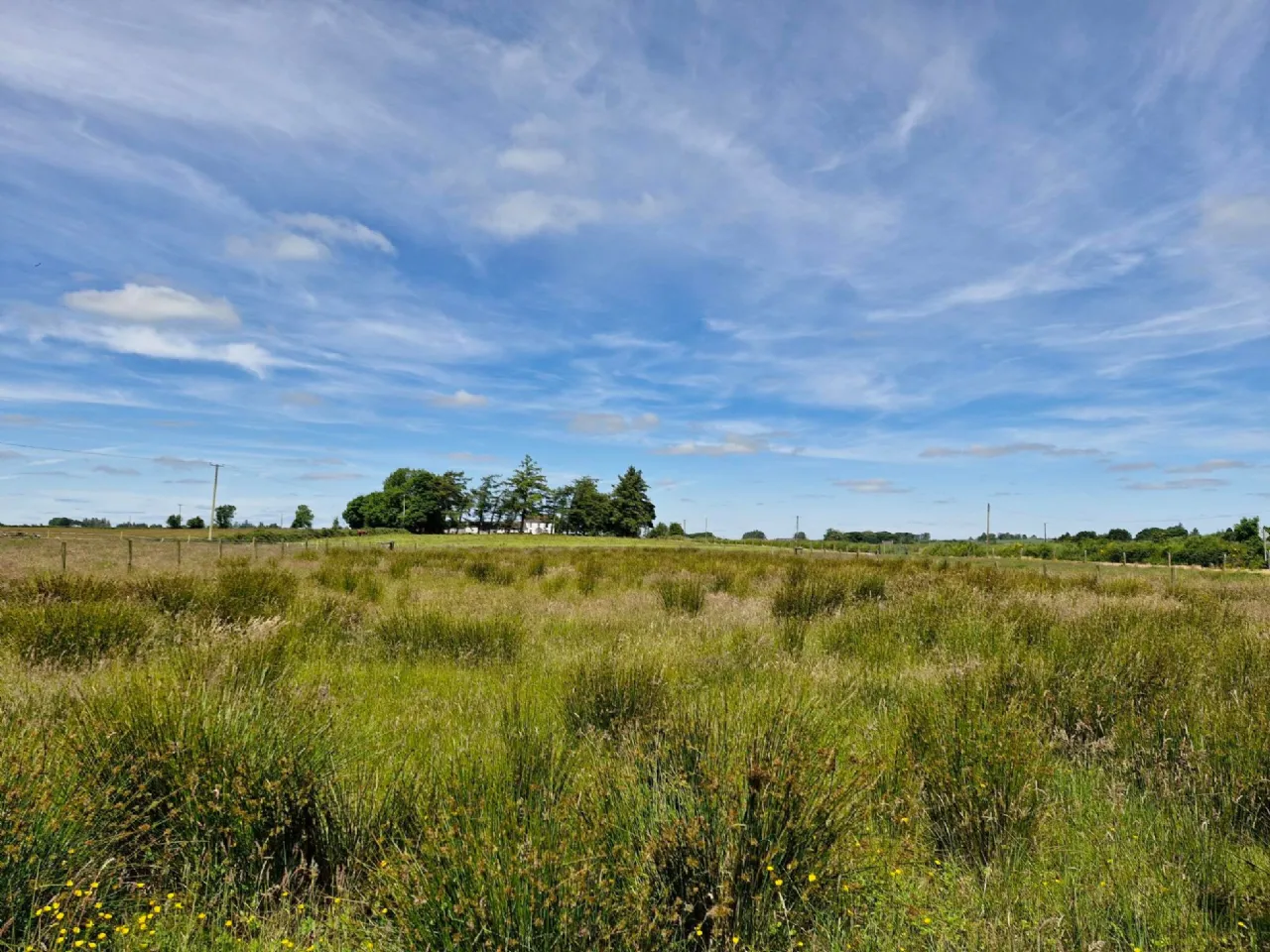 Photo of Brierfield Burke, Moylough, Ballinasloe, Co. Galway
