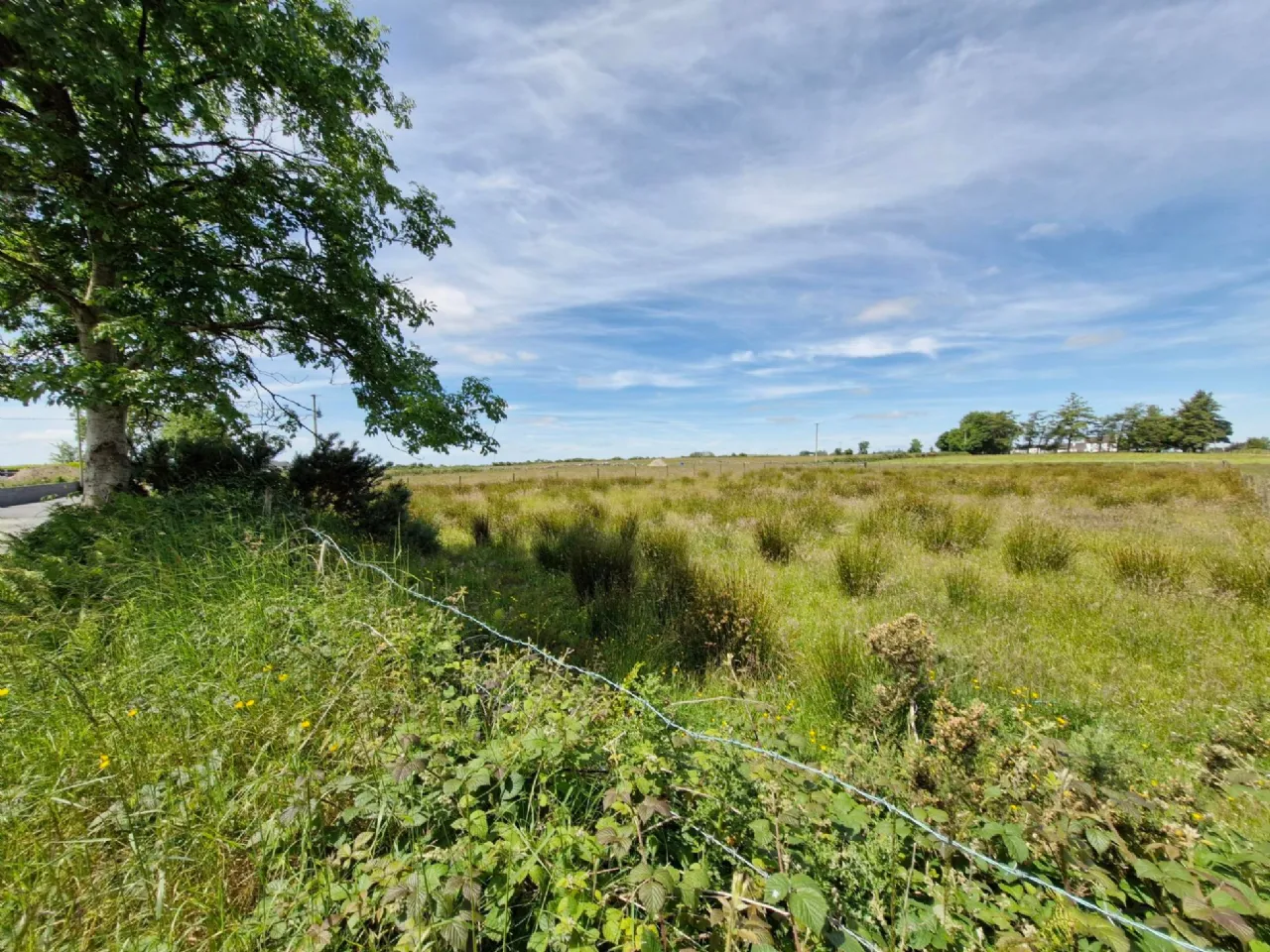 Photo of Brierfield Burke, Moylough, Ballinasloe, Co. Galway