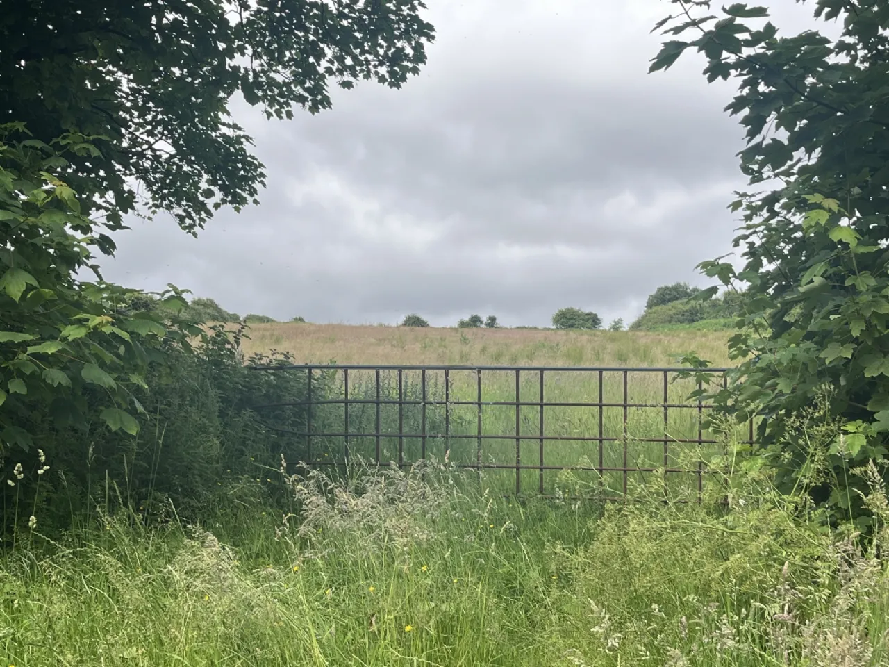 Photo of Lot 1,2,3,4 & 5, Killerduff, Ballycastle, Co Mayo, F26 FN79