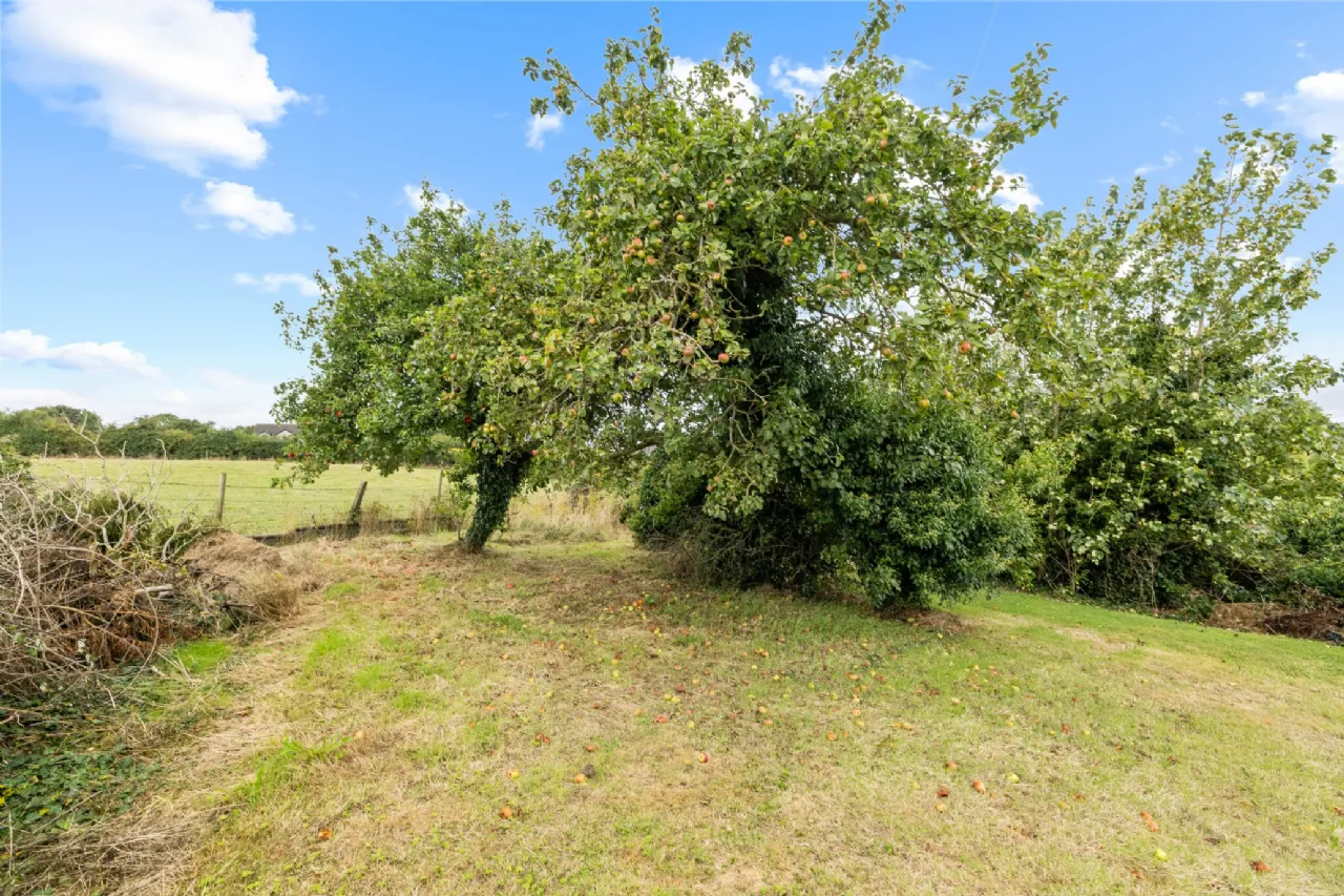 Photo of House, Workshop, Yard & Gardens, Mullagh Lane, Dromiskin, Co. Louth, A91 HT67