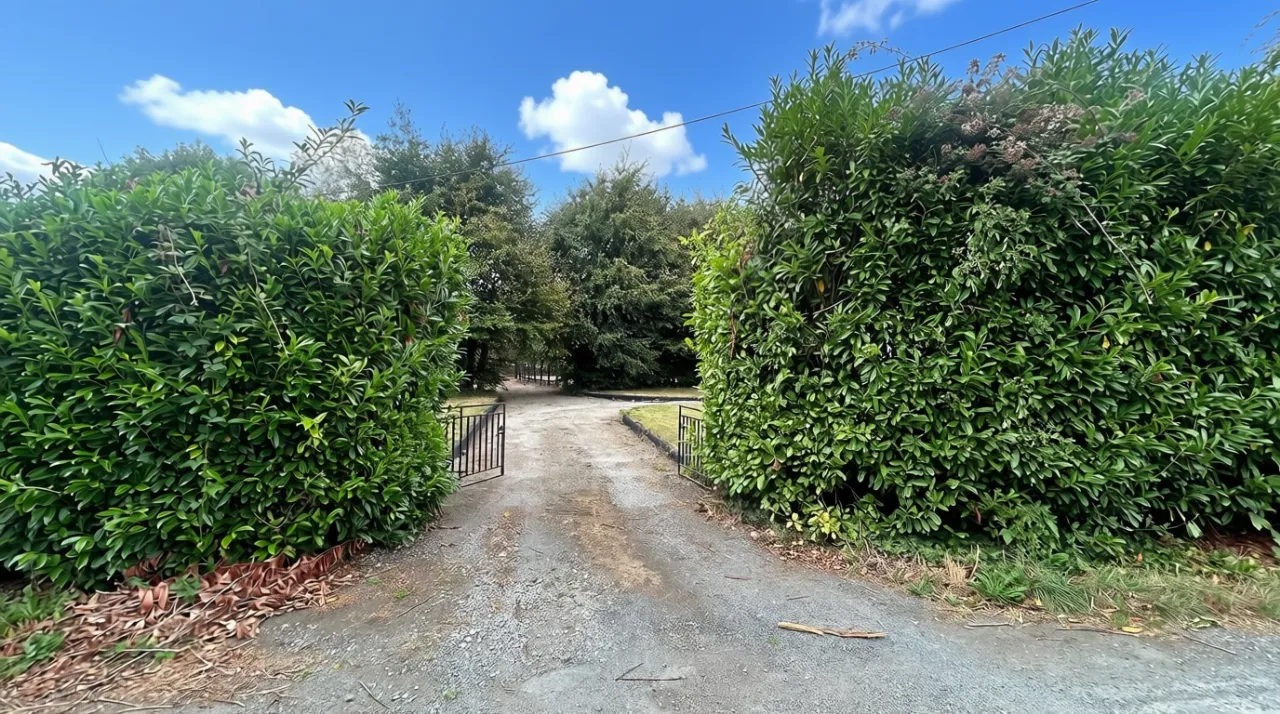 Photo of Wood Of O Cottage, Ballinaclogh,, Golden,, Co. Tipperary, E25KH59