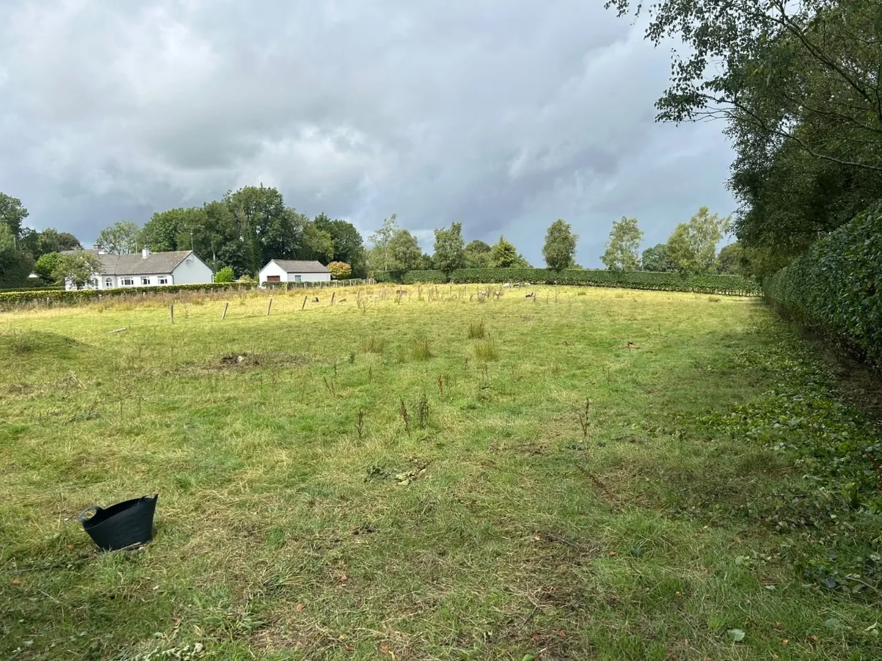 Photo of Site B, Loughnavalley Sites, Mullingar, Co. Westmeath.