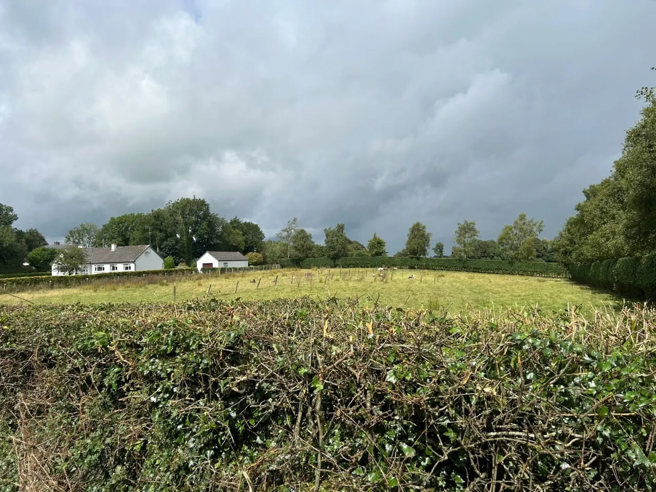 Photo of Site B, Loughnavalley Sites, Mullingar, Co. Westmeath.