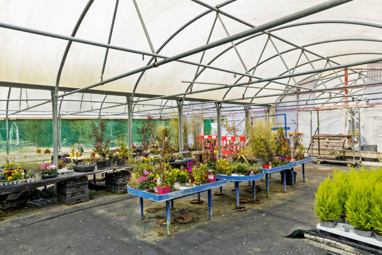 Photo of Ballykelly Garden Centre on 5.6acres, Killinick, Co Wexford, Y35 XH99