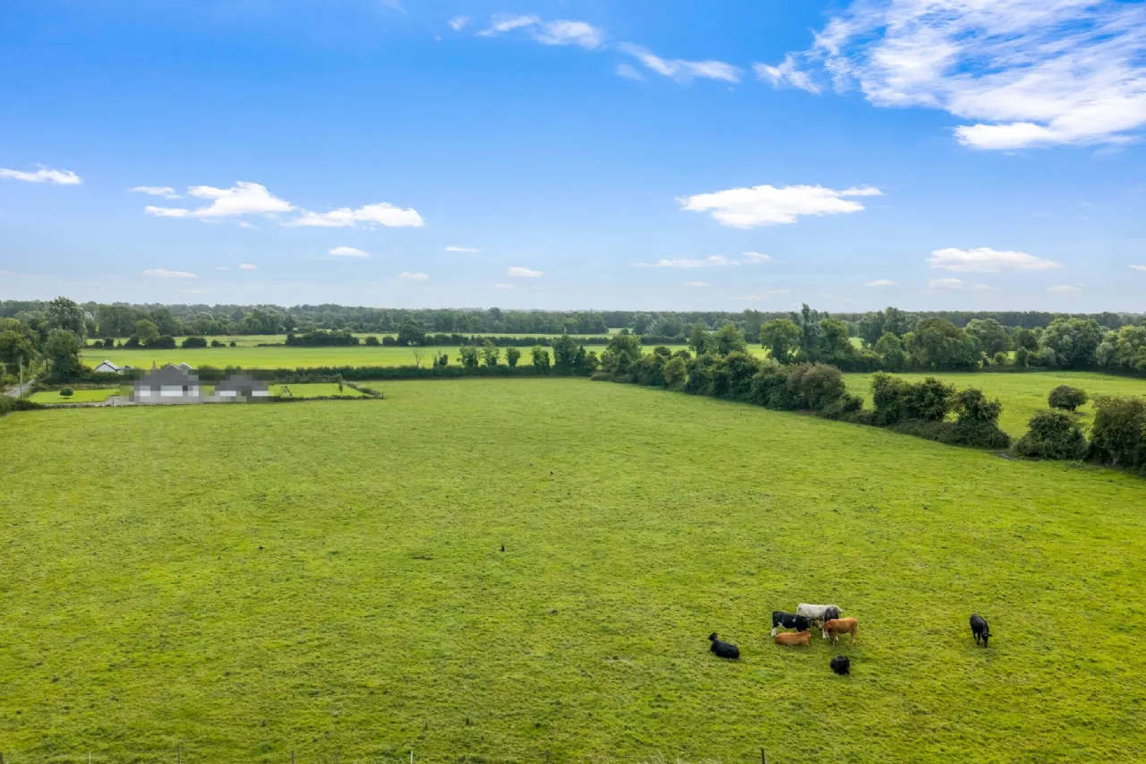 Photo of House On 7.8 Acres, Ballyfallon, Athboy, Co. Meath, C15 DW40