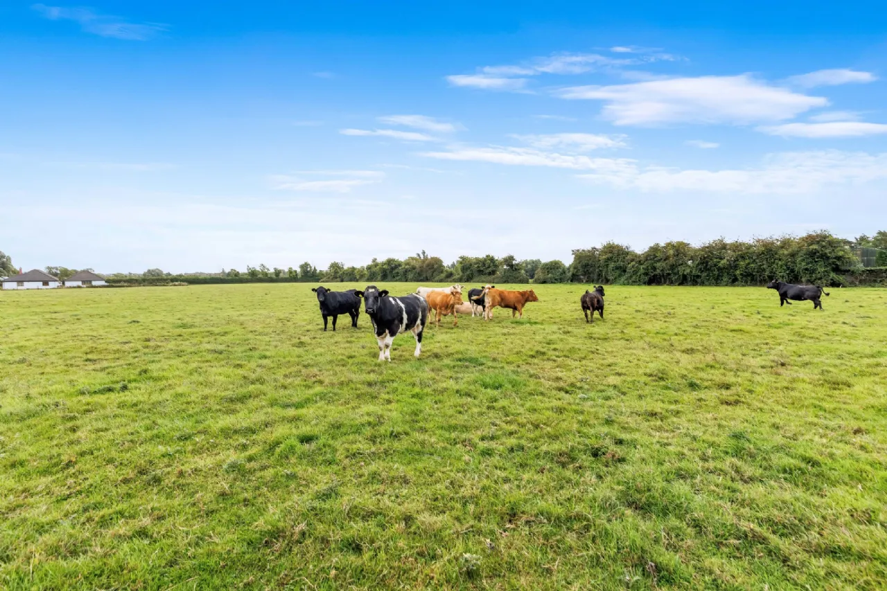 Photo of House On 7.8 Acres, Ballyfallon, Athboy, Co. Meath, C15 DW40