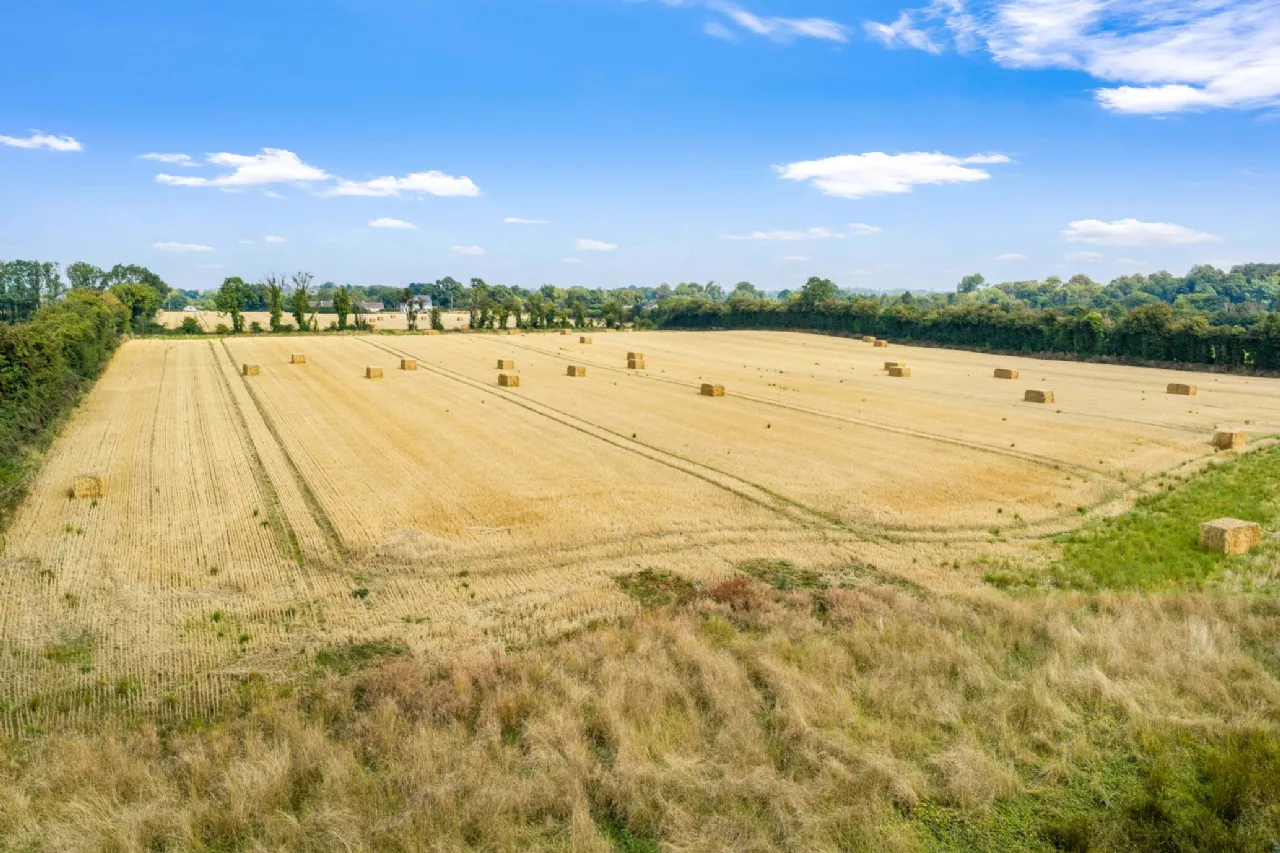 Photo of Attractive 22.5 Acre Farm, Cloncullen, Robinstown, Trim, Co. Meath