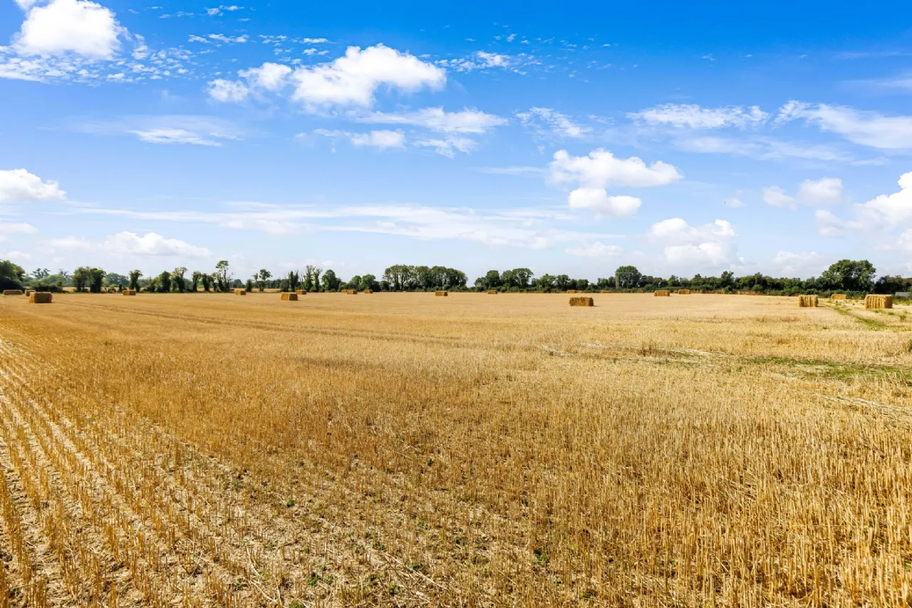 Photo of Attractive 22.5 Acre Farm, Cloncullen, Robinstown, Trim, Co. Meath