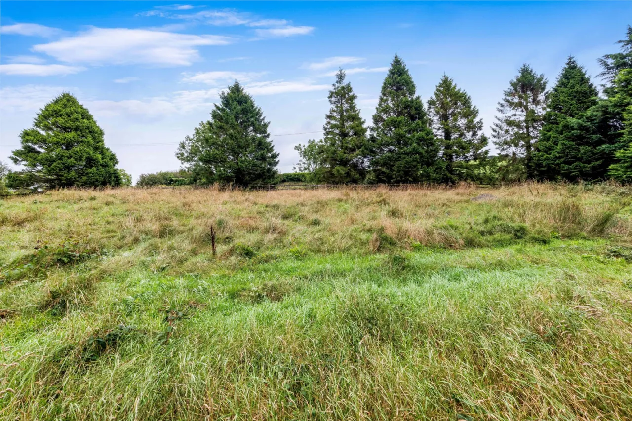 Photo of Site With F.P.P, Annyalla, Co Monaghan