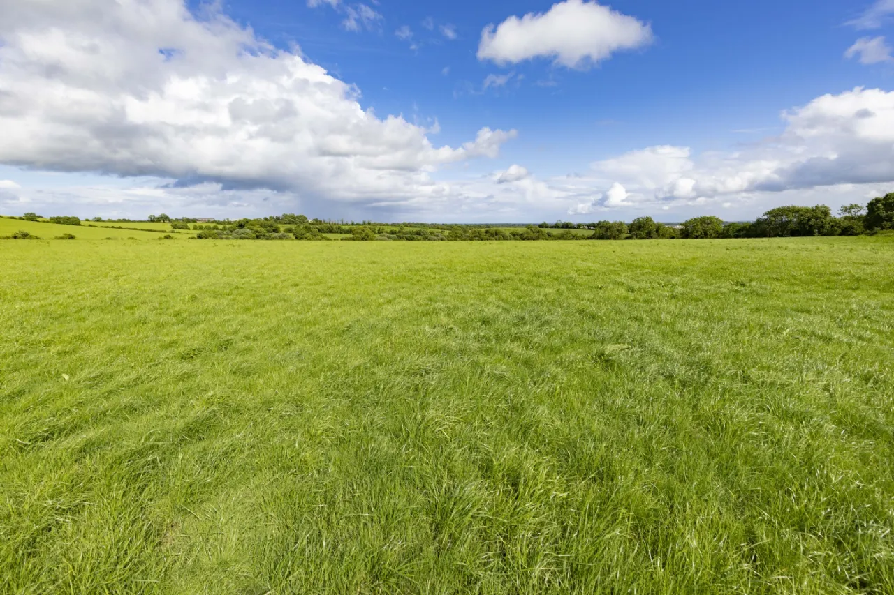 Photo of 27.5 Ha (68 Acres), Killineer, Drogheda, Co Louth, A92W2N7