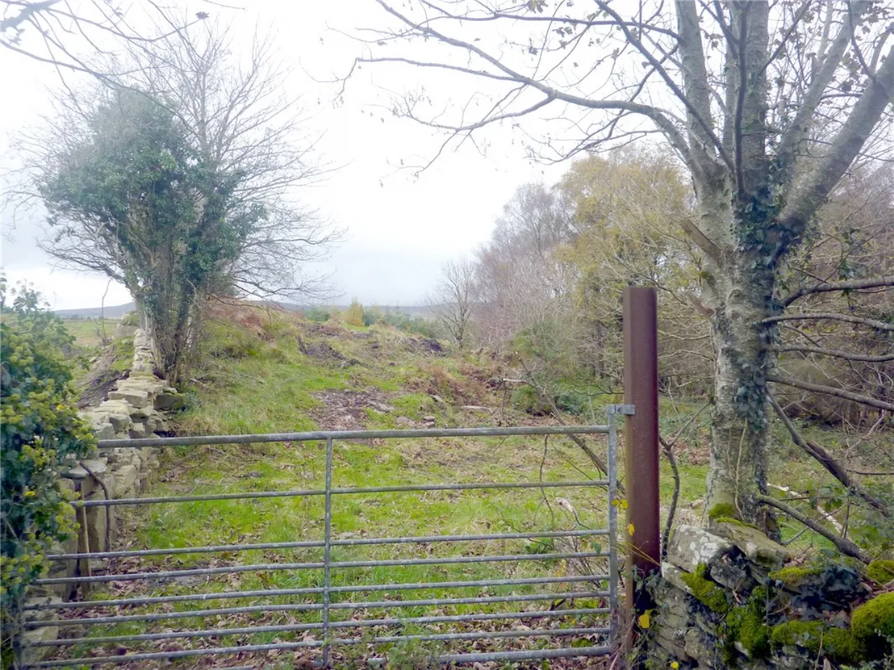 Photo of Residential Site, Cloonee, Partry, Co Mayo