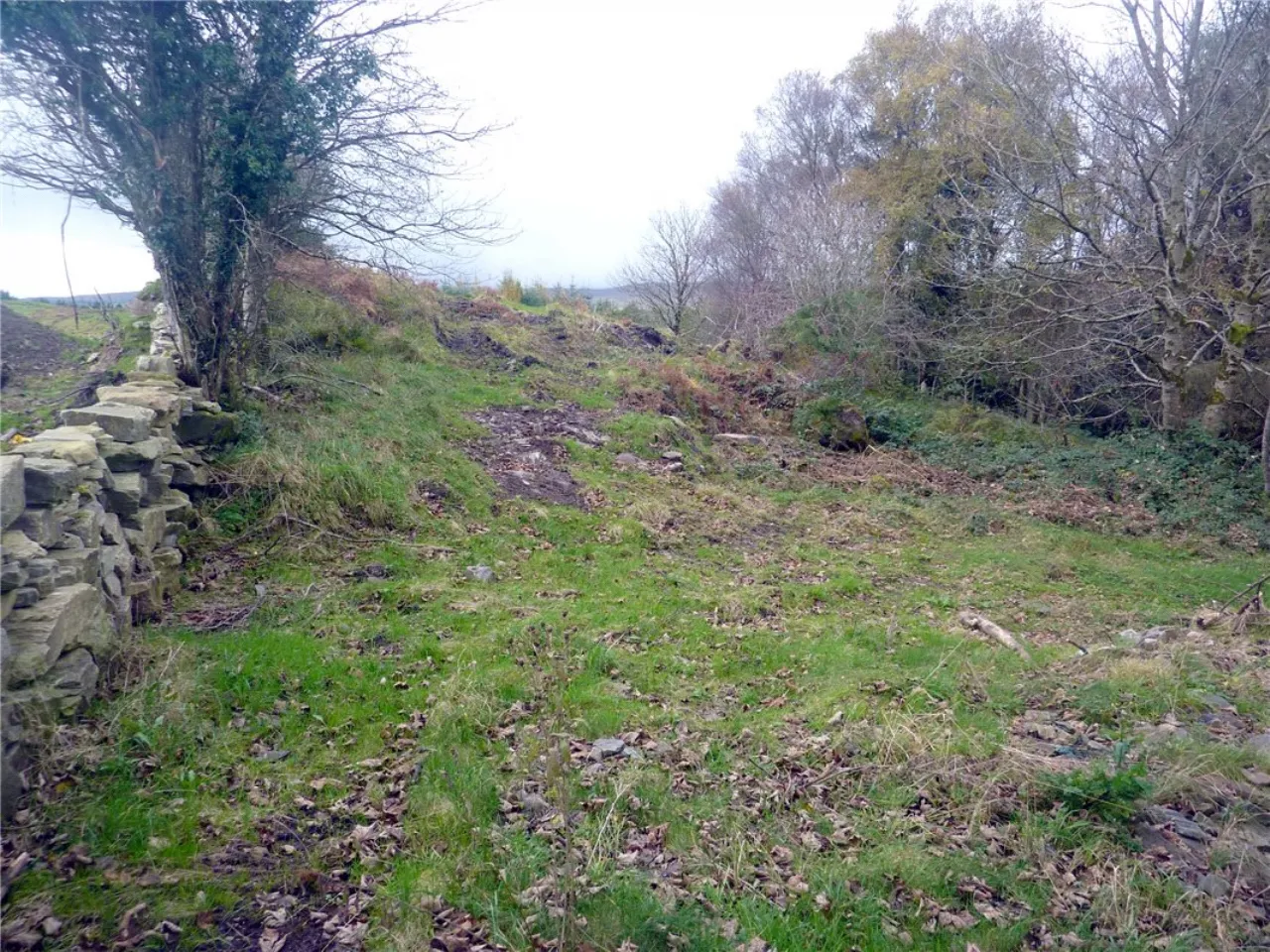 Photo of Residential Site, Cloonee, Partry, Co Mayo