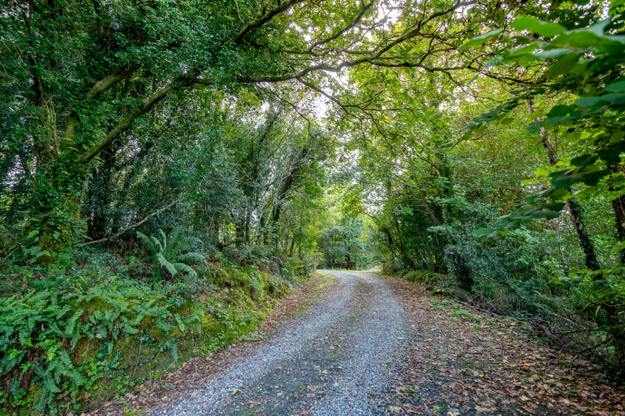Photo of River Cottage, Feorus East, Kenmare, Co. Kerry, V93 EW92