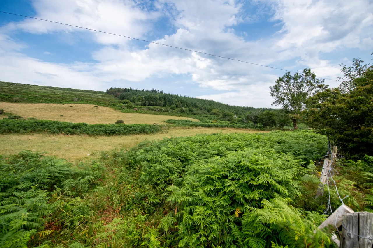 Photo of Lot 7, Gurteen, Kilgarvan, Co. Kerry, V93W293