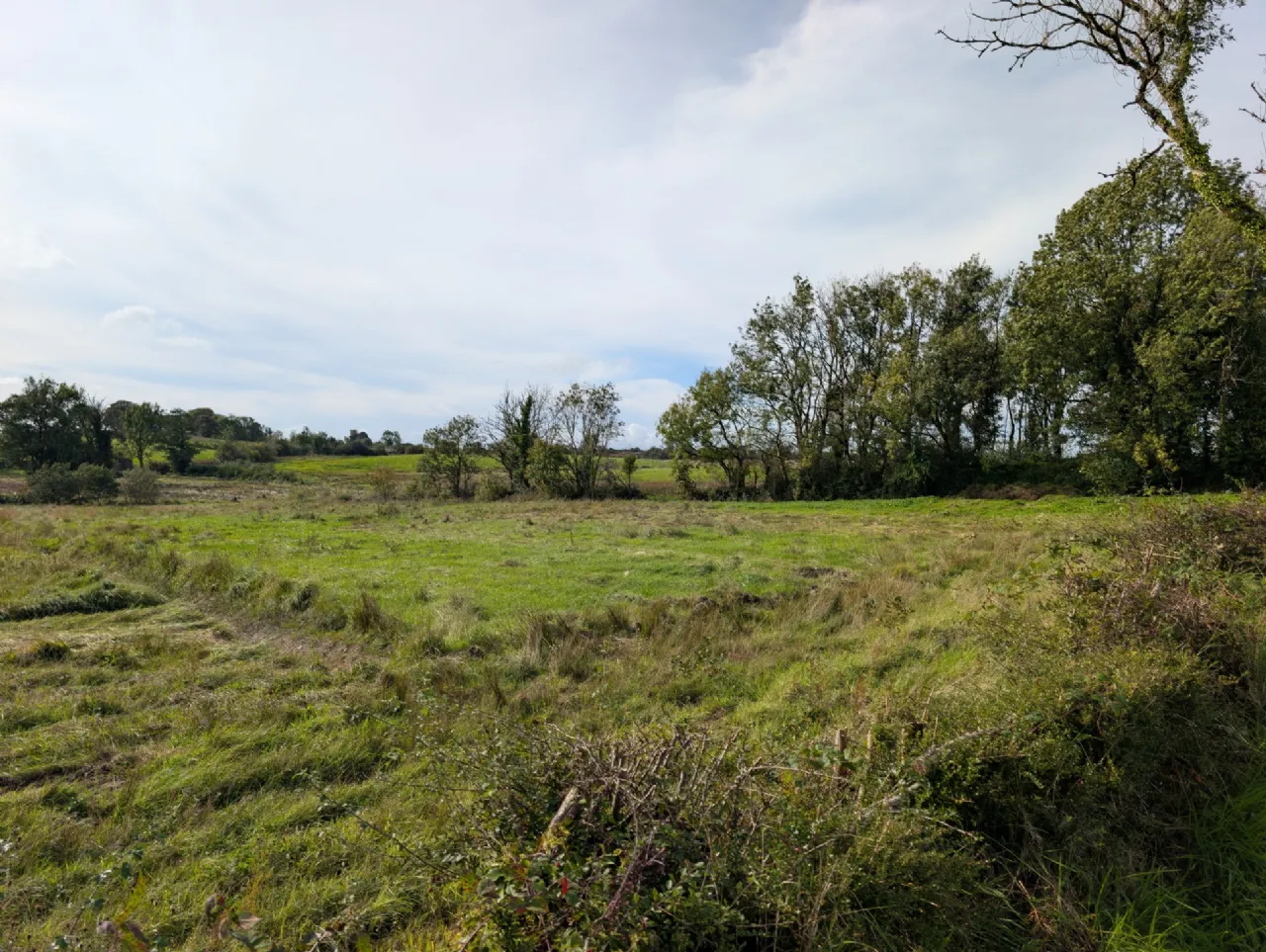Photo of Lisduff, Ballyhaunis, Co Mayo