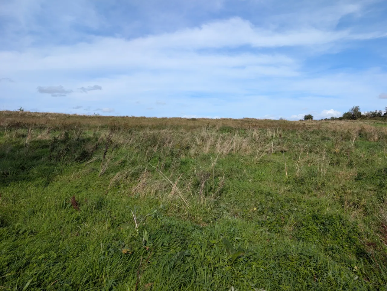 Photo of Lisduff, Ballyhaunis, Co Mayo