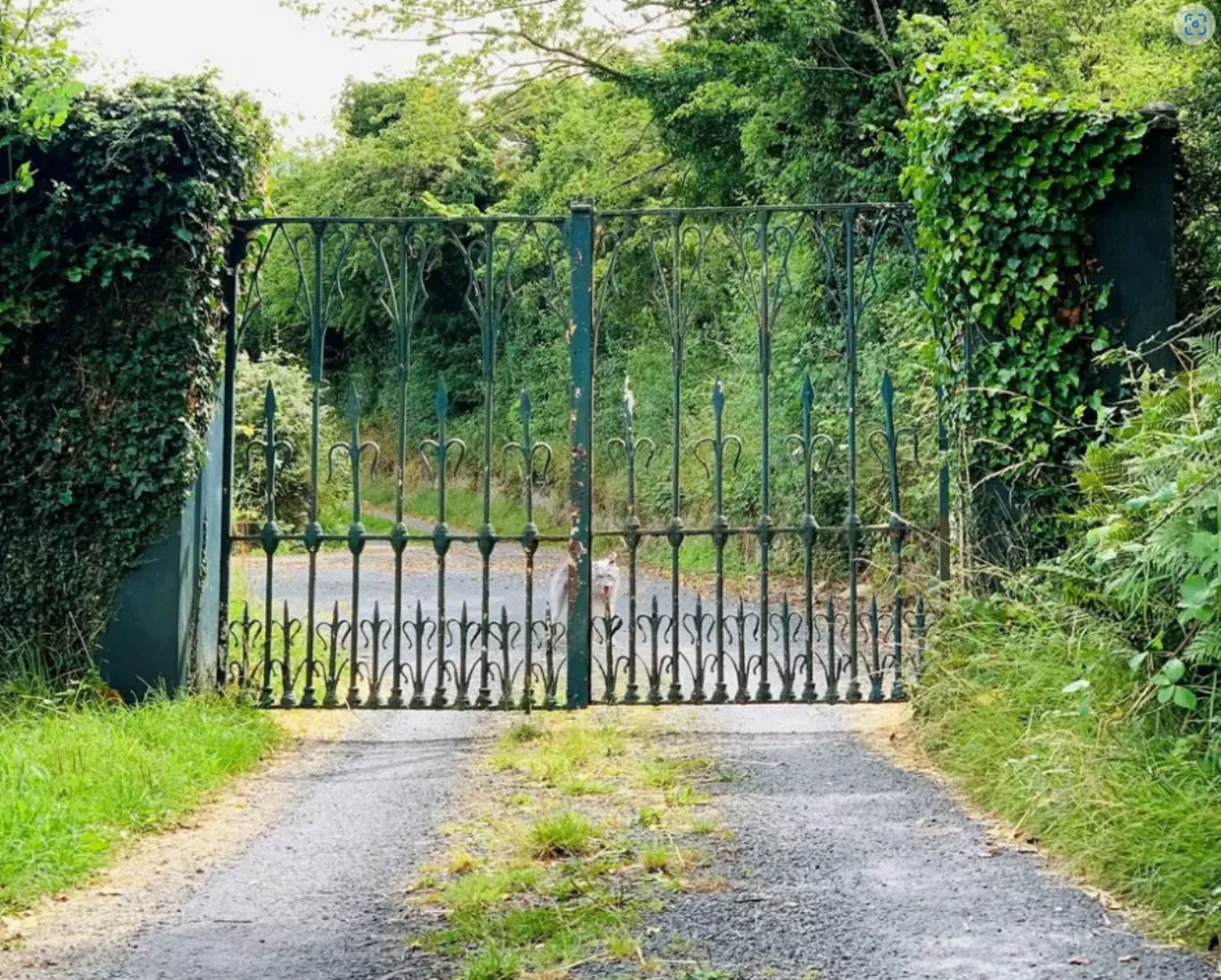 Photo of Rayconor House, Gurtymadden, Co. Galway