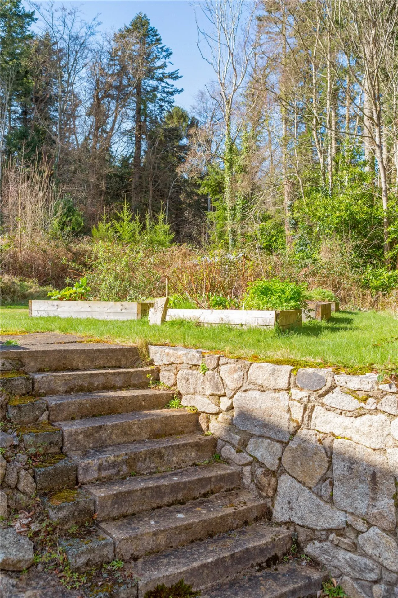 Photo of Mythago Wood, Glanmore, Ashford, County Wicklow, A67 F386