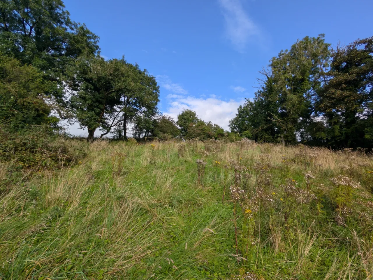 Photo of Carrowreagh, Meelick, Co. Mayo