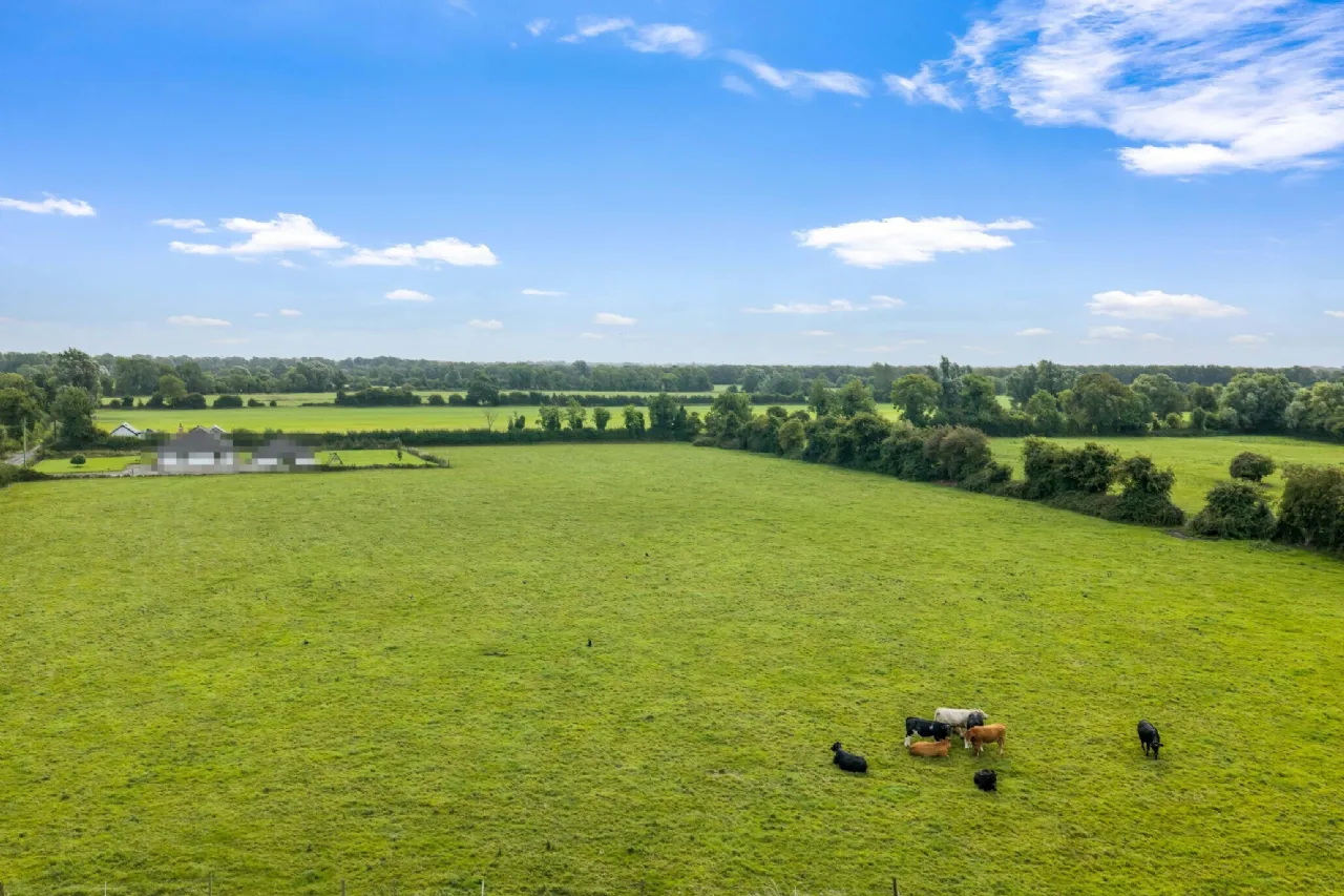Photo of House On 7.8 Acres, Ballyfallon, Athboy, Co. Meath, C15 DW40