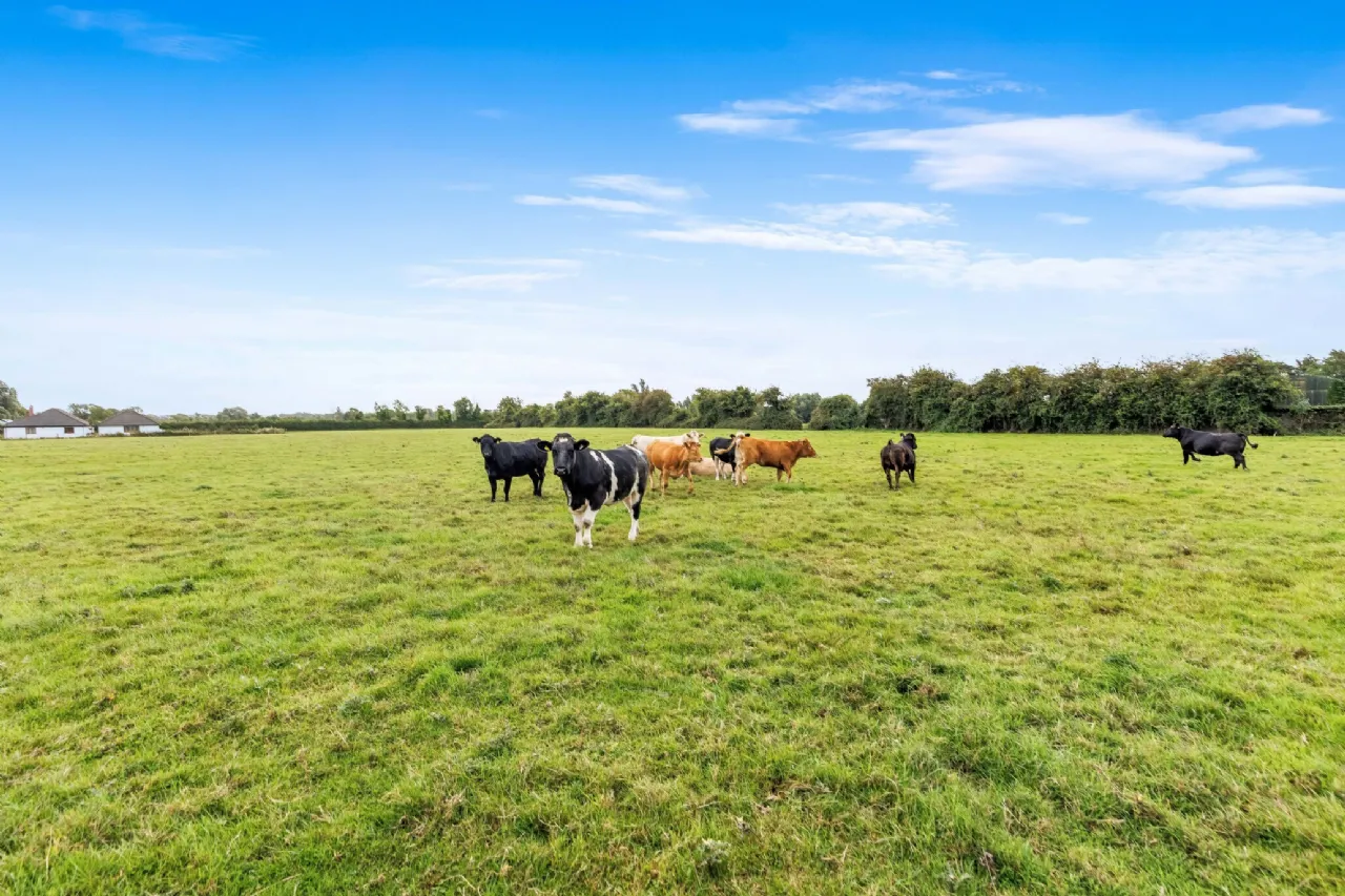 Photo of House On 7.8 Acres, Ballyfallon, Athboy, Co. Meath, C15 DW40