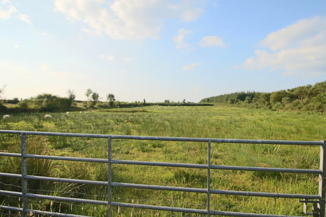 Photo of Tartan, Ballinameen, Co. Roscommon