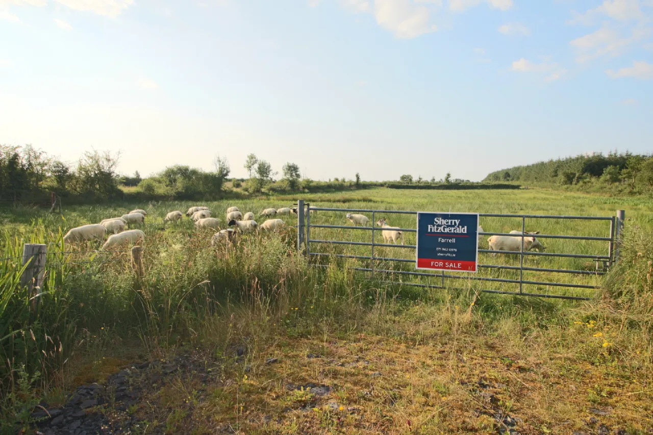 Photo of Tartan, Ballinameen, Co. Roscommon