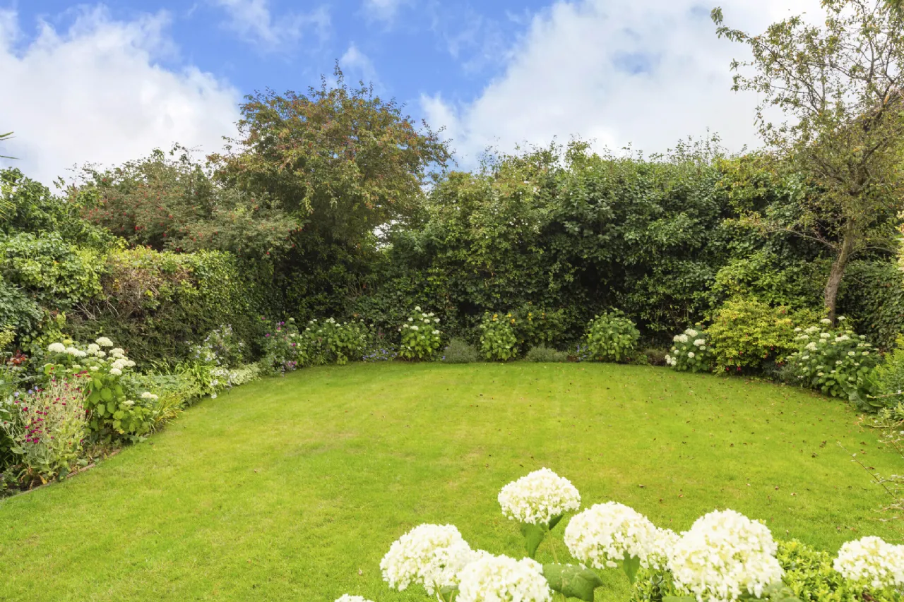 Photo of 20 Herbert Park, Ballsbridge, Dublin 4, D04 T419
