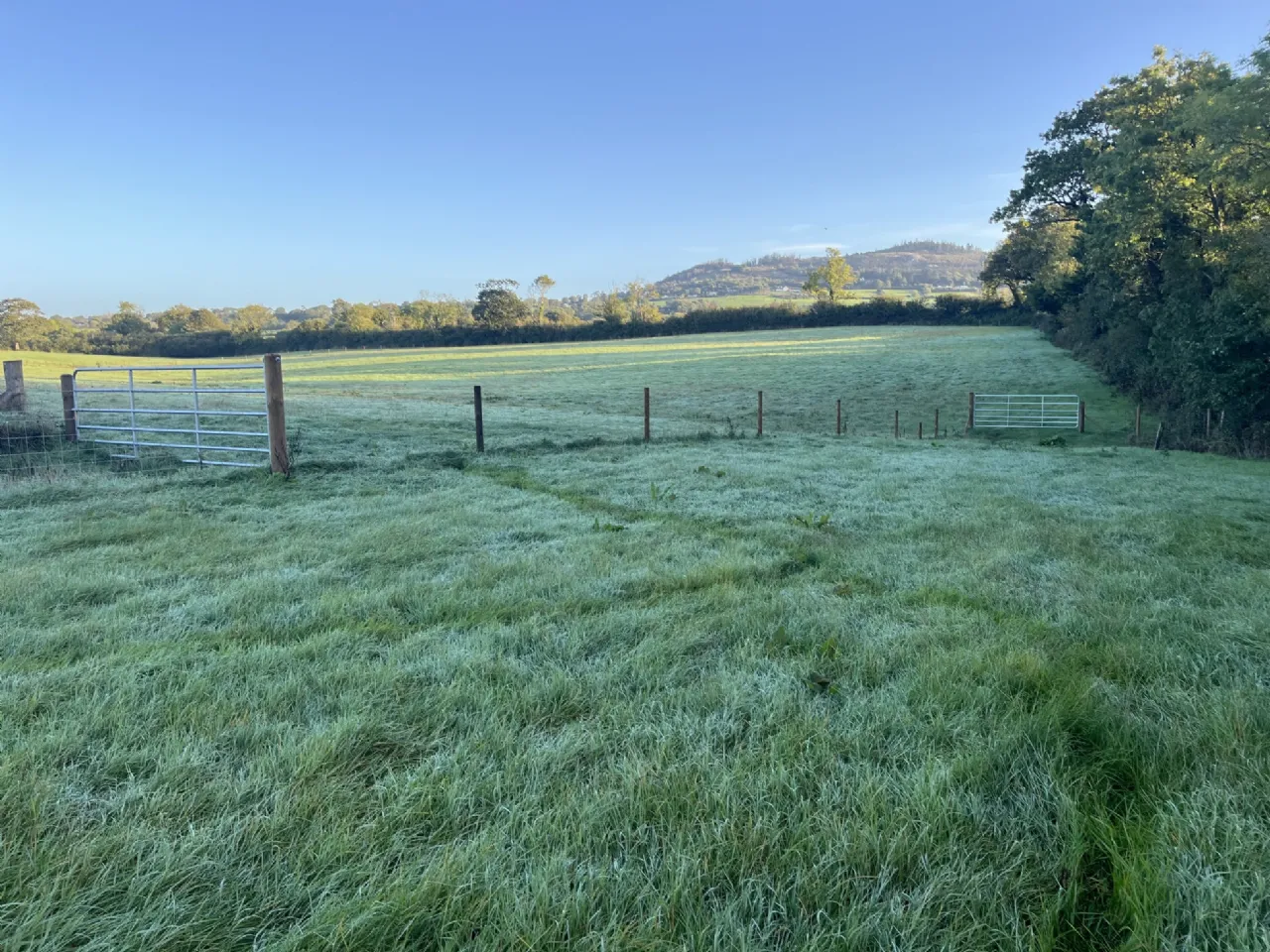 Photo of Prospect, Ballymoney, Gorey, Co. Wexford