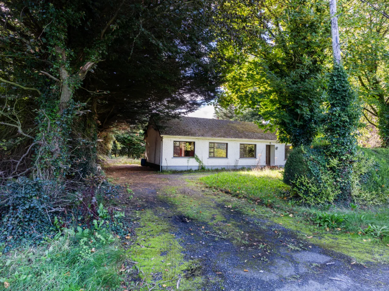 Photo of Ballintubbert, Athy, Co. Kildare, R14 EW88