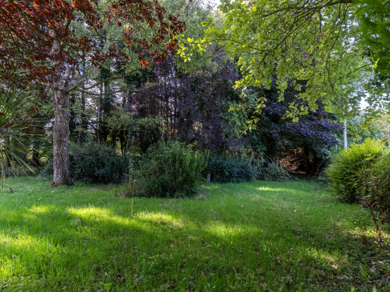 Photo of Ballintubbert, Athy, Co. Kildare, R14 EW88