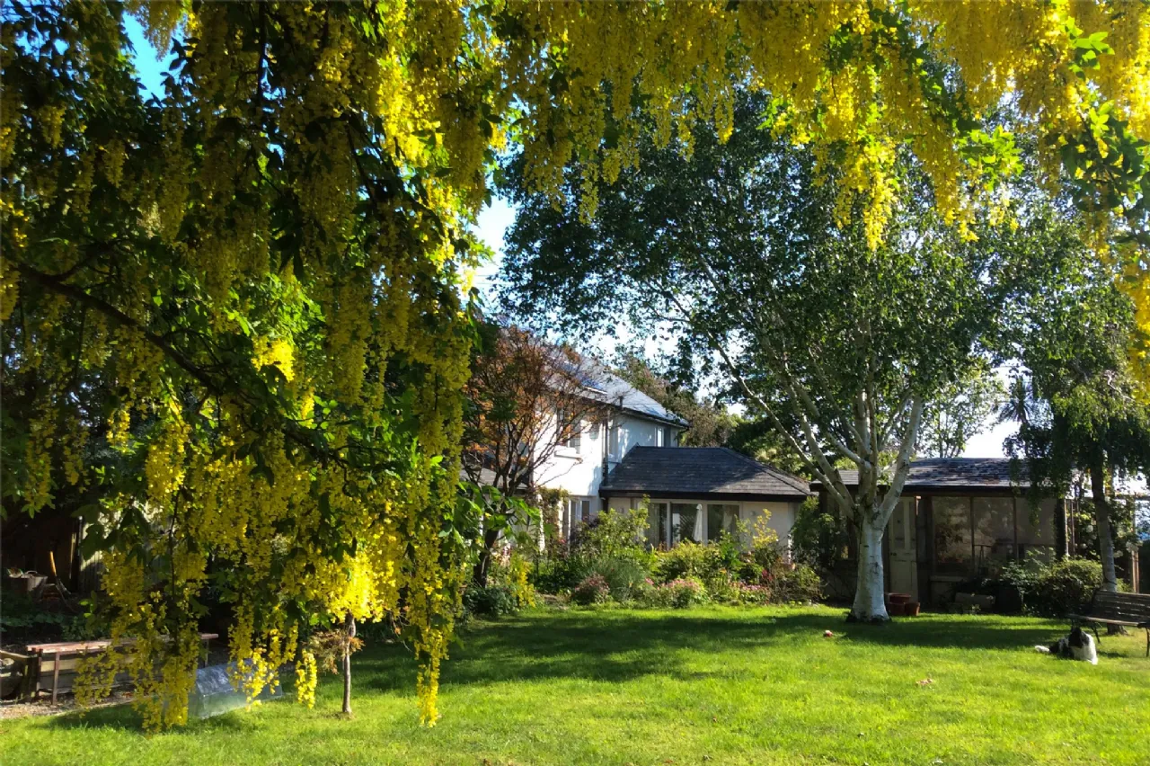 Photo of Clifton Lodge, Corbawn Lane, Shankill, Co Dublin, D18 W281